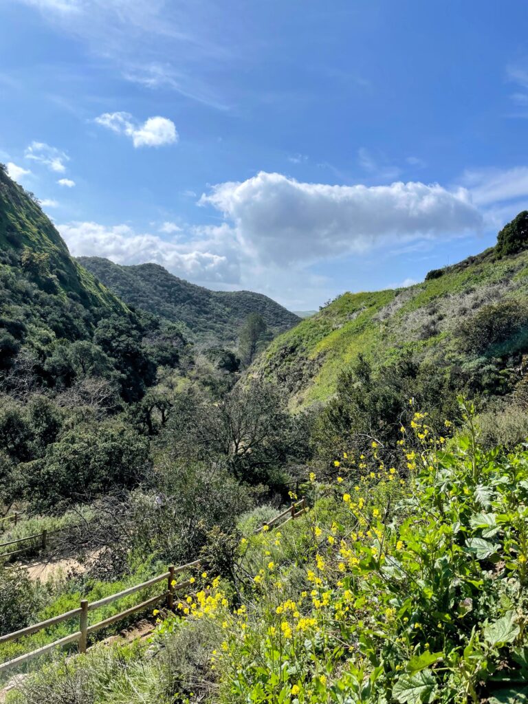 Paradise Falls — Scouts Hike L.A.