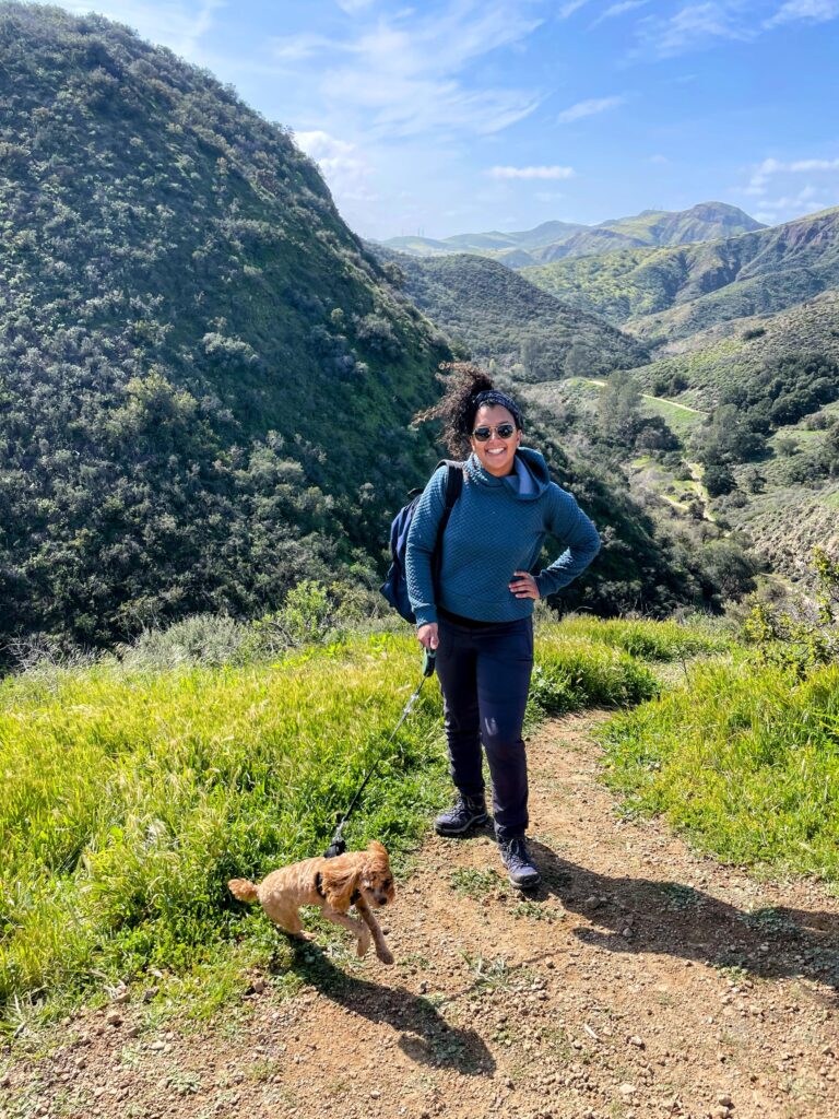 Paradise Falls — Scouts Hike L.A.